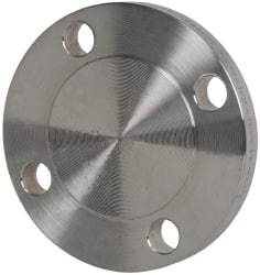 Merit Brass - 2" Pipe, 6" OD, Stainless Steel, Blind Pipe Flange - 4-3/4" Across Bolt Hole Centers, 3/4" Bolt Hole, 150 psi, Grades 304 & 304L - Exact Industrial Supply