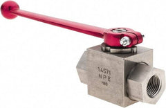 HYDAC - 1/2" Pipe, Stainless Steel Standard Ball Valve - 1 Piece, FNPT x FNPT Ends, Lever Handle, 5,800 WOG - Exact Industrial Supply
