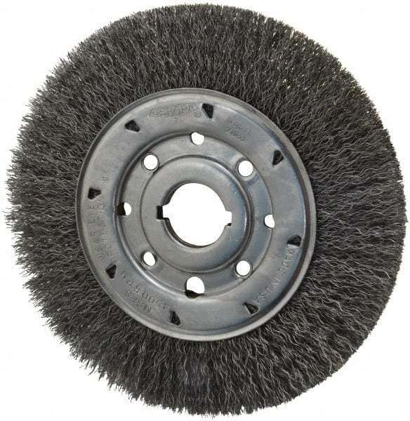 Osborn - 8" OD, 1-1/4" Arbor Hole, Crimped Steel Wheel Brush - 5/8" Face Width, 1-1/2" Trim Length, 0.014" Filament Diam, 4,500 RPM - Exact Industrial Supply