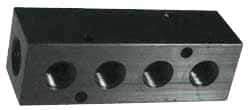 Made in USA - 1/2" Inlet, 3/8" Outlet Manifold - 10-3/4" Long x 1-1/2" Wide x 1-1/2" High, 0.2" Mount Hole, 2 Inlet Ports, 10 Outlet Ports - Exact Industrial Supply
