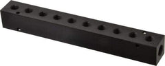 Made in USA - 1/4" Inlet, 1/8" Outlet Manifold - 7-3/4" Long x 1" Wide x 1" High, 0.17" Mount Hole, 2 Inlet Ports, 10 Outlet Ports - Exact Industrial Supply
