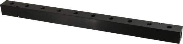Made in USA - 1/4" Inlet, 1/8" Outlet Manifold - 15-1/4" Long x 1" Wide x 1" High, 0.17" Mount Hole, 2 Inlet Ports, 10 Outlet Ports - Exact Industrial Supply