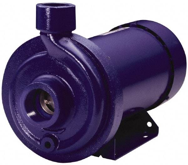 Goulds Pumps - ODP Motor, 208-230/460 Volt, 4.0/2.0 Amp, 3 Phase, 1 HP, 3500 RPM, Cast Iron Straight Pump - 1-1/4 Inch Inlet, 1 Inch Outlet, 44 Max Head psi, 316L Stainless Steel Impeller, Carbon Ceramic Buna Seal, 102 Ft. Shut Off - Exact Industrial Supply