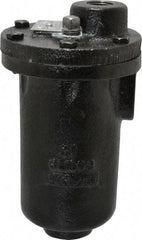 Hoffman Speciality - 3/4" NPT Inlet, 1/2" NPT Outlet, 250 Max psi, Cast Iron Water Vent - 350 Max Hydrostatic psi, 300°F Max - Exact Industrial Supply