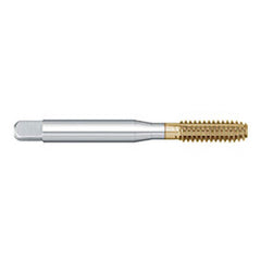 Titan USA - Thread Forming Taps; Thread Size (Inch): 1/4-20 ; Class of Fit: 2B ; Thread Limit: H8 ; Chamfer: Plug ; Finish/Coating: TiN ; Material: High Speed Steel - Exact Industrial Supply