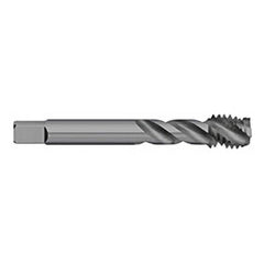 Titan USA - Spiral Flute Taps; Thread Size (mm): M3.5x0.60 ; Chamfer: Semi-Bottoming ; Class of Fit: 6H ; Thread Limit: D3 ; Number of Flutes: 3 ; Material: Powdered Metal - Exact Industrial Supply