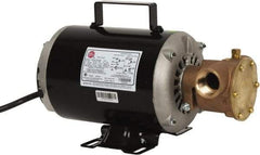 Jabsco - 1 Inch Inlet, 3/4 Hp, 23 Max GPM, Flexible Impeller Pump - 115/230 Volts, Nitrile Impeller - Exact Industrial Supply
