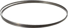 Starrett - 6 TPI, 7' 9" Long x 1/4" Wide x 0.025" Thick, Welded Band Saw Blade - Carbon Steel, Toothed Edge, Raker Tooth Set, Flexible Back, Contour Cutting - Exact Industrial Supply