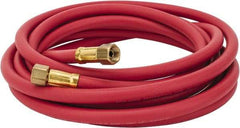 Coilhose Pneumatics - Paint Sprayer Hose with Fittings - Exact Industrial Supply