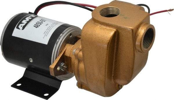 American Machine & Tool - 12 Volt, 1/8 hp, 3/4 Inlet, Bronze Utility Pump - 14 Max Head Pressure, 3/4 Inch Outlet - Exact Industrial Supply
