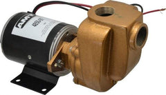 American Machine & Tool - 12 Volt, 1/8 hp, 3/4 Inlet, Bronze Utility Pump - 14 Max Head Pressure, 3/4 Inch Outlet - Exact Industrial Supply