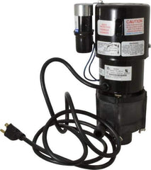 Little Giant Pumps - 1/10 HP, 10-1/2 Working PSI, 24.3 Shut Off Feet, Magnetic Drive Pump - 3000 RPM, 1 Phase, 60 Hz, 1.7 Amps - Exact Industrial Supply