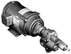 Pentair - 17-1/2 Inch Long, Close Coupled-Mount Gear Close Coupled Mount Gear Pump - ODP, 7 Max GPM - Exact Industrial Supply