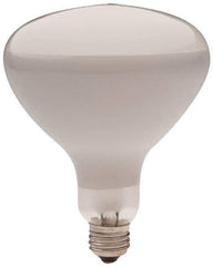 Philips - 300 Watt Incandescent Flood/Spot Medium Screw Lamp - 2,700°K Color Temp, 2,960 Lumens, 12 Volts, Dimmable, R40, 2,000 hr Avg Life - Exact Industrial Supply