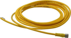 Brad Harrison - 3 Amp, M8 Female Straight to Pigtail Cordset Sensor and Receptacle - 60 VAC, 75 VDC, 4m Cable Length, IP68 Ingress Rating - Exact Industrial Supply