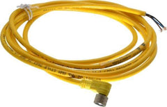 Brad Harrison - 3 Amp, M8 Female 90° to Pigtail Cordset Sensor and Receptacle - 60 VAC, 75 VDC, 2m Cable Length, IP67 Ingress Rating - Exact Industrial Supply