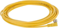 Brad Harrison - 3 Amp, M8 Female 90° to Pigtail Cordset Sensor and Receptacle - 60 VAC, 75 VDC, 5m Cable Length, IP67 Ingress Rating - Exact Industrial Supply