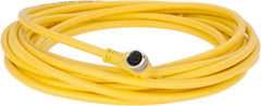 Brad Harrison - 3 Amp, M8 Female 90° to Pigtail Cordset Sensor and Receptacle - 60 VAC, 75 VDC, 5m Cable Length, IP67 Ingress Rating - Exact Industrial Supply