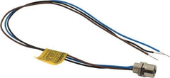 Brad Harrison - 4 Amp, M8 Female Straight Receptacle - 60 VAC, 75 VDC, 0.30m Cable Length, IP67 Ingress Rating - Exact Industrial Supply