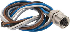 Brad Harrison - 3 Amp, M8 Female Straight Receptacle - 60 VAC, 75 VDC, 0.30m Cable Length, IP67 Ingress Rating - Exact Industrial Supply