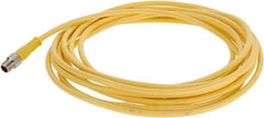 Brad Harrison - 4 Amp, Female 90° to Male 90° Cordset Sensor and Receptacle - 250 VAC/VDC, 4m Cable Length, IP68 Ingress Rating - Exact Industrial Supply