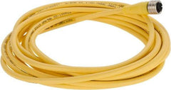 Brad Harrison - 4 Amp, M12 Female Straight to Pigtail Cordset Sensor and Receptacle - 250 VAC/VDC, 5m Cable Length, IP67 Ingress Rating - Exact Industrial Supply