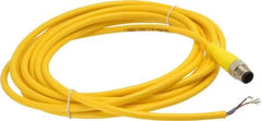 Brad Harrison - Male Straight Cordset Sensor and Receptacle - 250 VAC/VDC, 4m Cable Length, IP68 Ingress Rating - Exact Industrial Supply