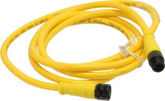 Brad Harrison - Female to Male Cordset Sensor and Receptacle - 250 VAC/VDC, 6 Ft. Long Cable, IP68 Ingress Rating - Exact Industrial Supply