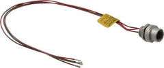 Brad Harrison - 4 Amp, 1/2-20 UNF Female Straight Receptacle - 250 VAC/VDC, 0.31m Cable Length, IP67 Ingress Rating - Exact Industrial Supply