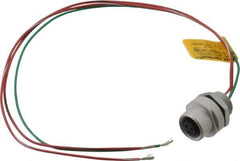 Brad Harrison - 4 Amp, 1/2-20 UNF Female Straight Receptacle - 250 VAC/VDC, 0.31m Cable Length, IP67 Ingress Rating - Exact Industrial Supply