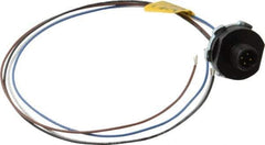 Brad Harrison - 4 Amp, M12 Male Straight Receptacle - 250 VAC/VDC, 0.31m Cable Length, IP67 Ingress Rating - Exact Industrial Supply