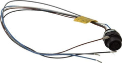 Brad Harrison - 4 Amp, M12 Female Straight Receptacle - 250 VAC/VDC, 0.31m Cable Length, IP67 Ingress Rating - Exact Industrial Supply