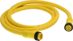 Brad Harrison - 7 Amp, Female Straight, Male Straight Cordset Sensor and Receptacle - 600 Volt, 1.83m Cable Length, IP67 Ingress Rating - Exact Industrial Supply