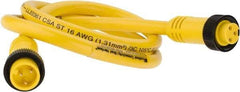 Brad Harrison - 13 Amp, Female Straight, Male Straight Cordset Sensor and Receptacle - 600 Volt, 0.91m Cable Length, IP67 Ingress Rating - Exact Industrial Supply