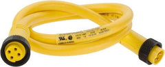Brad Harrison - 10 Amp, Female Straight, Male Straight Cordset Sensor and Receptacle - 600 Volt, 0.91m Cable Length, IP67 Ingress Rating - Exact Industrial Supply