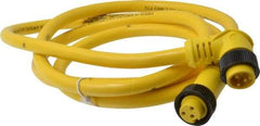 Brad Harrison - 13 Amp, Female 90° to Male 90° Cordset Sensor and Receptacle - 600 VAC/VDC, 6 Ft. Long Cable, IP68 Ingress Rating - Exact Industrial Supply