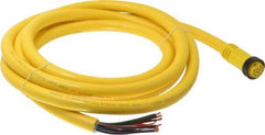 Brad Harrison - 5 Amp, Female Straight to Pigtail Cordset Sensor and Receptacle - 600 Volt, 3.66m Cable Length, IP67 Ingress Rating - Exact Industrial Supply