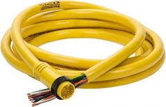Brad Harrison - 7 Amp, Male Straight to Pigtail Cordset Sensor and Receptacle - 600 Volt, 3.66m Cable Length, IP67 Ingress Rating - Exact Industrial Supply
