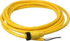 Brad Harrison - 13 Amp, Female Straight to Pigtail Cordset Sensor and Receptacle - 600 Volt, 3.66m Cable Length, IP67 Ingress Rating - Exact Industrial Supply