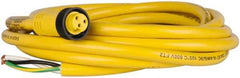 Brad Harrison - 13 Amp, Female Straight to Pigtail Cordset Sensor and Receptacle - 600 Volt, 3.66m Cable Length, IP67 Ingress Rating - Exact Industrial Supply
