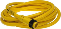 Brad Harrison - 10 Amp, Male Straight to Pigtail Cordset Sensor and Receptacle - 600 Volt, 3.66m Cable Length, IP67 Ingress Rating - Exact Industrial Supply