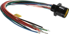 Brad Harrison - 7 Amp, Male Straight Receptacle - 600 VAC/VDC, 0.31m Cable Length, IP67 Ingress Rating - Exact Industrial Supply