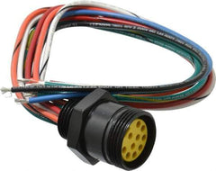 Brad Harrison - 7 Amp, Female Straight Receptacle - 600 VAC/VDC, 0.31m Cable Length, IP67 Ingress Rating - Exact Industrial Supply