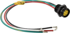 Brad Harrison - 10 Amp, Female Straight Receptacle - 600 VAC/VDC, 0.31m Cable Length, IP67 Ingress Rating - Exact Industrial Supply
