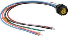 Brad Harrison - 8 Amp, Female Straight Receptacle - 600 VAC/VDC, 0.31m Cable Length, IP67 Ingress Rating - Exact Industrial Supply