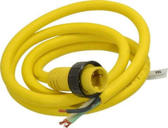 Brad Harrison - 18 Amp, Male Cordset Sensor and Receptacle - IP68 Ingress Rating - Exact Industrial Supply