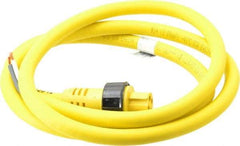 Brad Harrison - 15 Amp, Female Straight to Pigtail Cordset Sensor and Receptacle - 600 Volt, 1.83m Cable Length, IP67 Ingress Rating - Exact Industrial Supply
