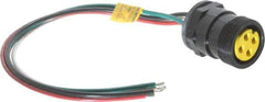 Brad Harrison - 15 Amp, Female Straight Receptacle - IP68 Ingress Rating - Exact Industrial Supply