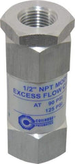 Coilhose Pneumatics - 1/2" Aluminum Check Valve - Inline, FPT x FPT - Exact Industrial Supply