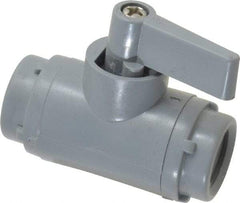Specialty Mfr - 1/4" Pipe, PVC Standard Ball Valve - Inline - Two Way Flow, FNPT x FNPT Ends, Wedge Handle, 125 WOG - Exact Industrial Supply